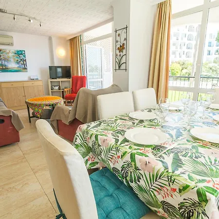 Carabeo 3 Dorm