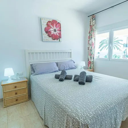 Carabeo 3 Dorm *