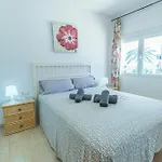 Carabeo 3 Dorm *